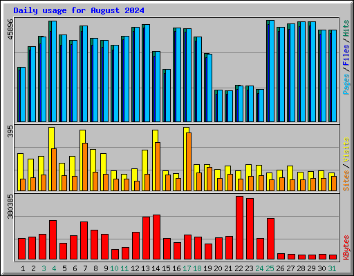 Daily usage for August 2024