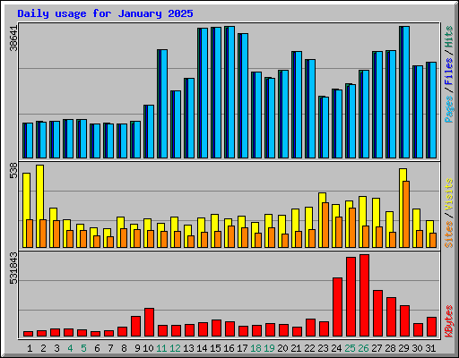 Daily usage for January 2025