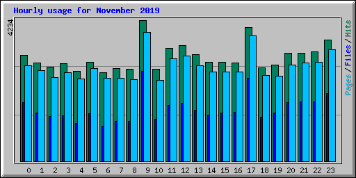 Hourly usage for November 2019