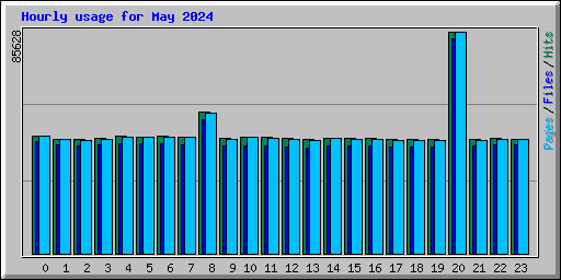 Hourly usage for May 2024