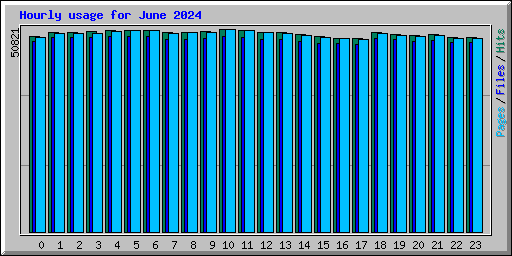 Hourly usage for June 2024