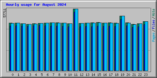 Hourly usage for August 2024