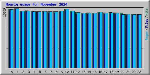 Hourly usage for November 2024