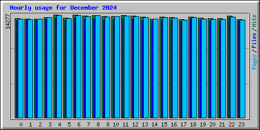 Hourly usage for December 2024