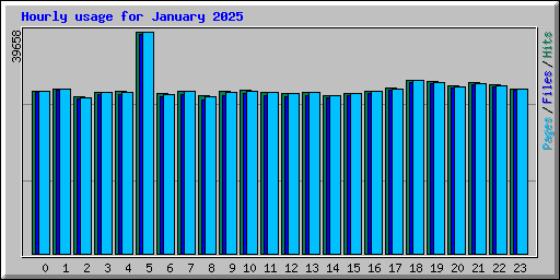 Hourly usage for January 2025